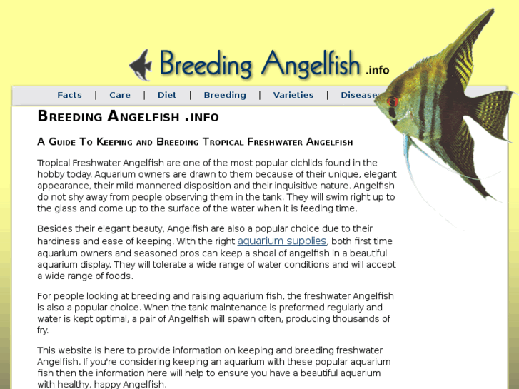 www.breedingangelfish.info