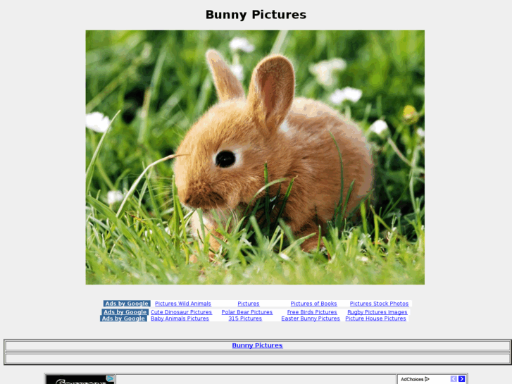 www.bunnypictures.net