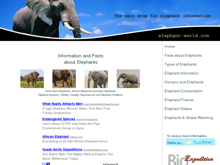 www.elephant-world.com