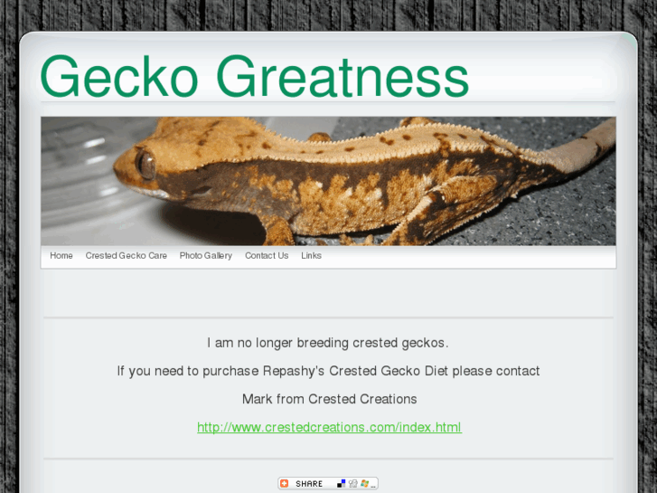 www.geckogreatness.com