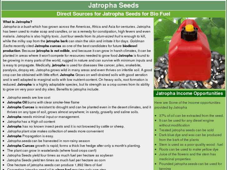 www.jatrophaseedsdirect.com