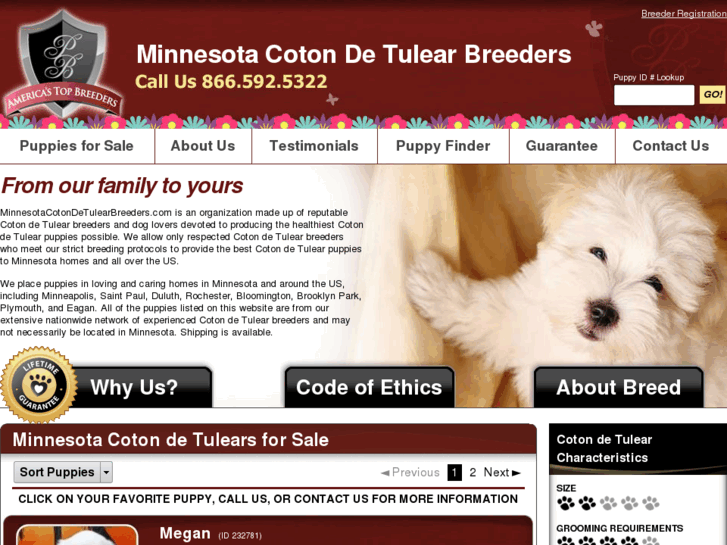 www.minnesotacotondetulearbreeders.com