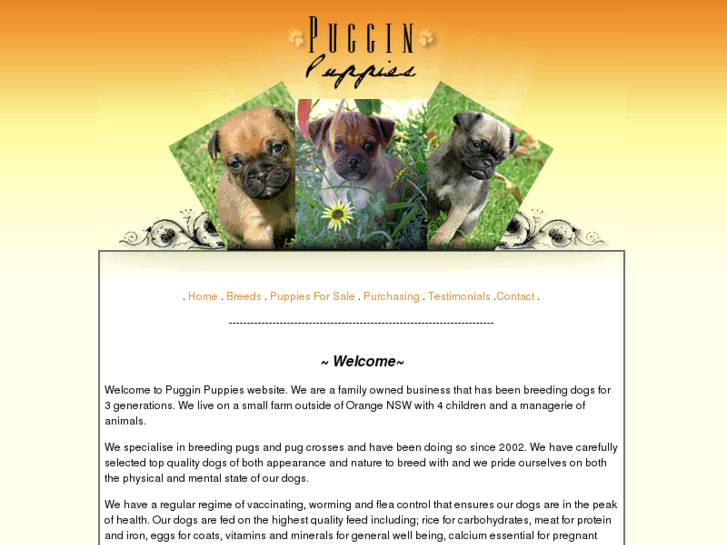 www.pugginpuppies.com