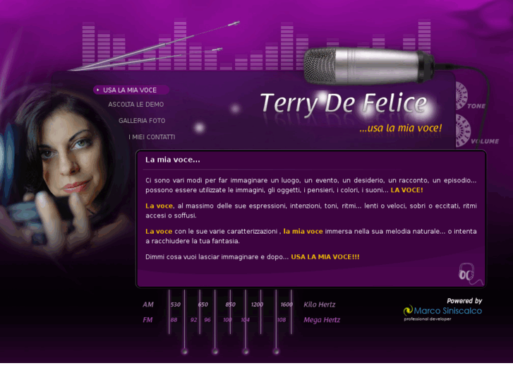 www.terrydefelice.com