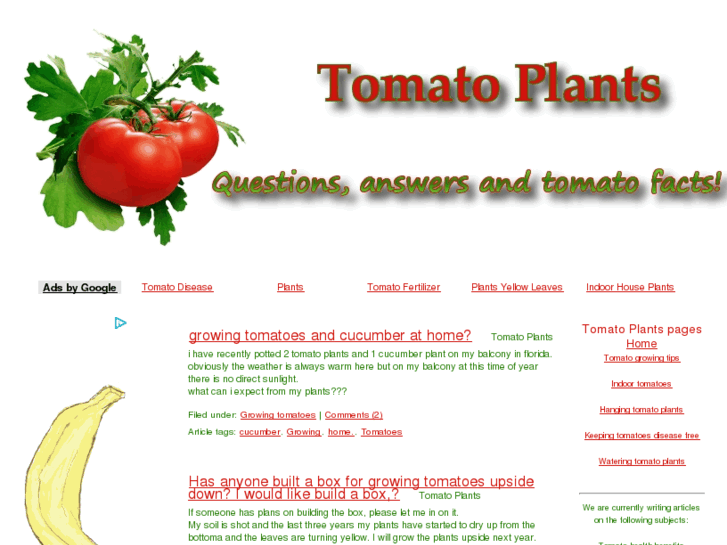 www.tomato-plants.org