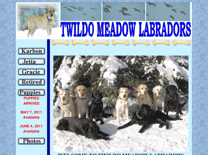 www.twildomeadowlabs.com