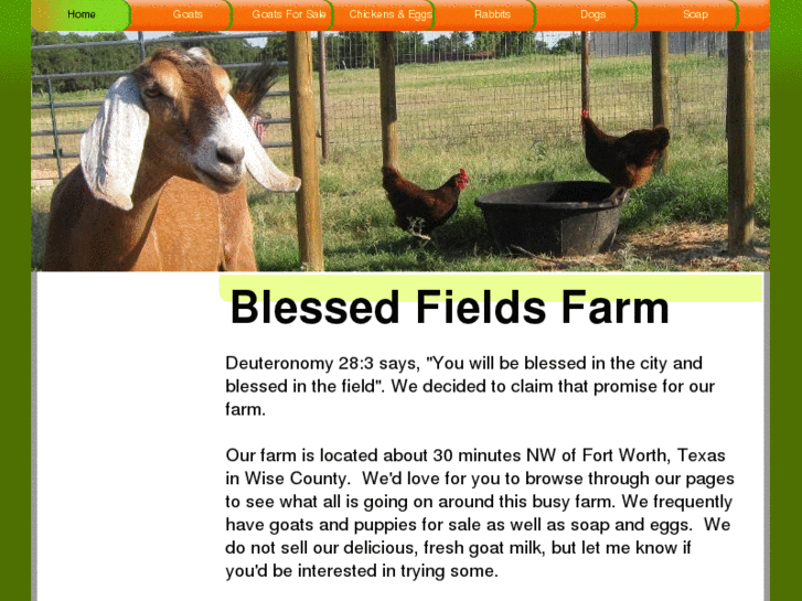 www.blessedfields.com
