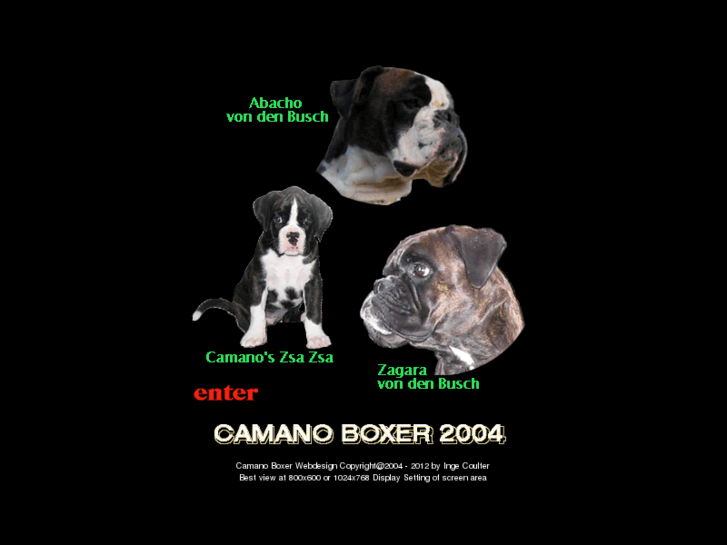 www.camanoboxer.net