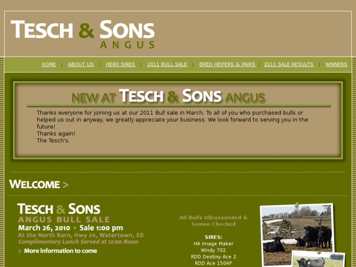 www.teschandsonsangus.com