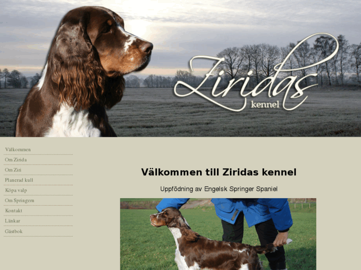 www.zirida.se