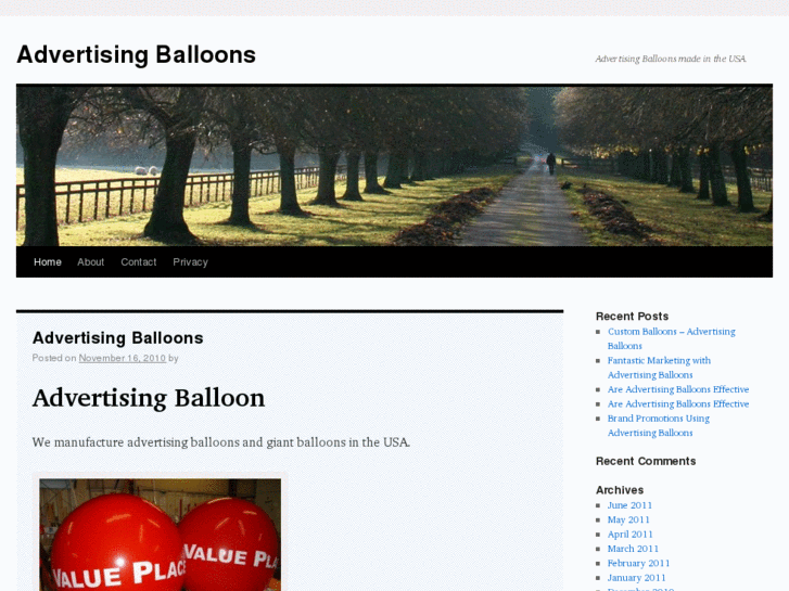 www.advertising-balloon.biz