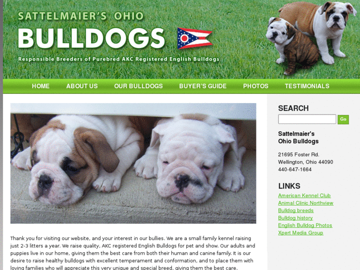 www.bulldogsohio.com