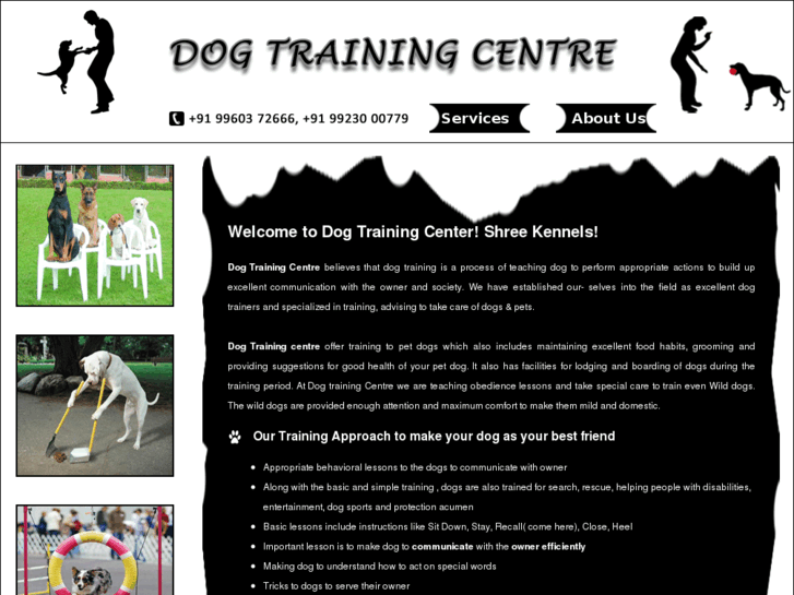 www.dogtrainingpune.com