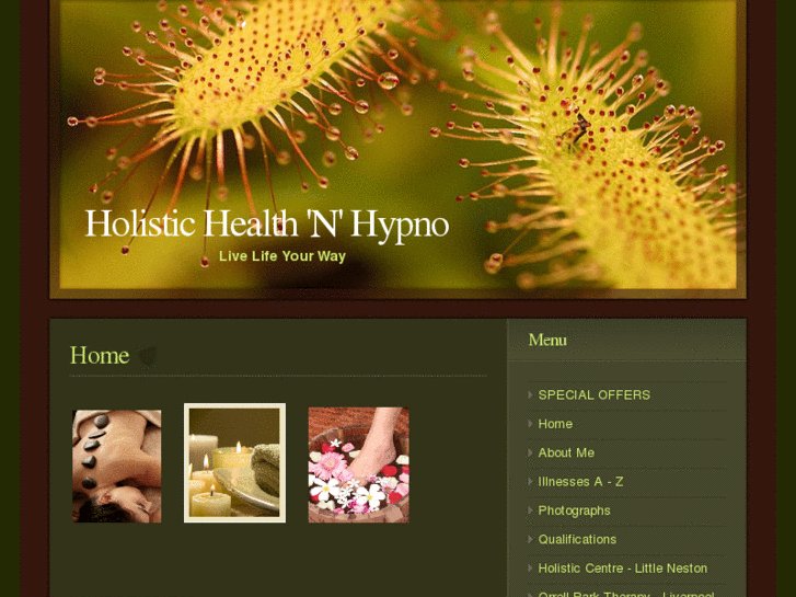 www.holistichealth-n-hypno.com