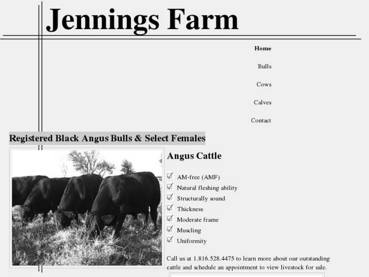 www.jenningsangusfarm.com