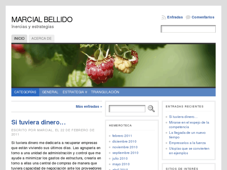 www.marcialbellido.es