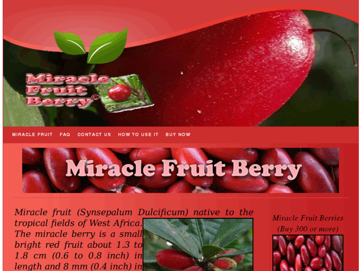 www.miraclefruitberry.com