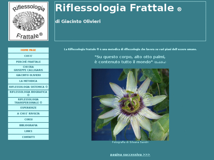 www.riflessologiafrattale.it