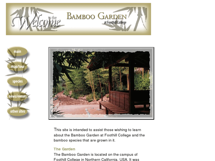 www.bamboogarden.org