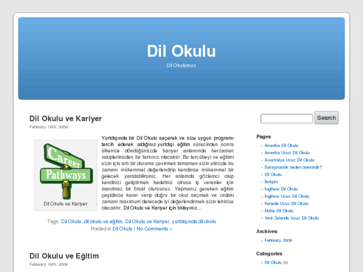 www.dilokuludilokulu.com