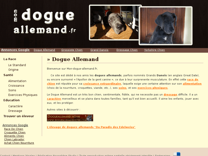 www.mon-dogue-allemand.fr