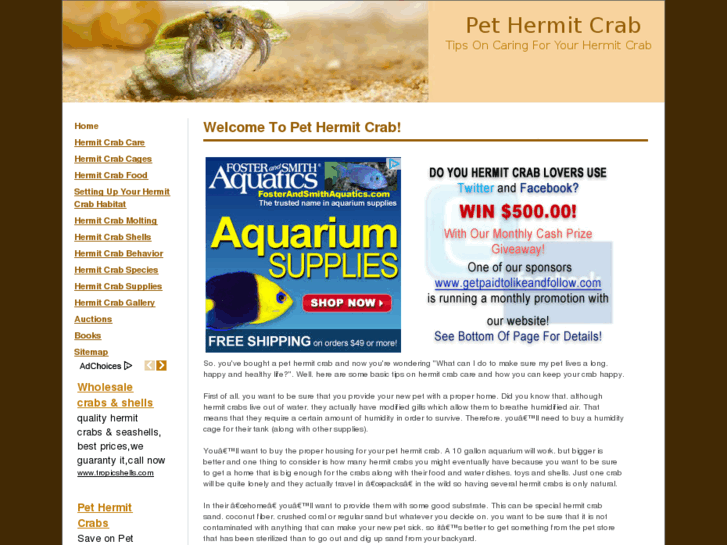 www.pethermitcrab.com