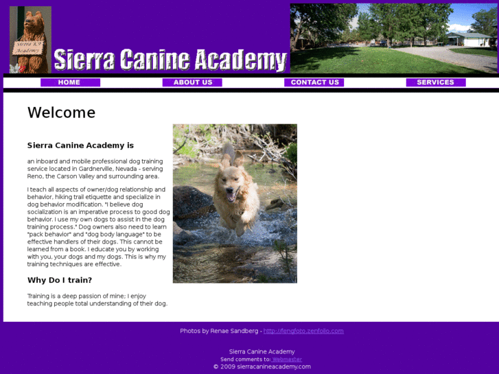 www.sierracanineacademy.com