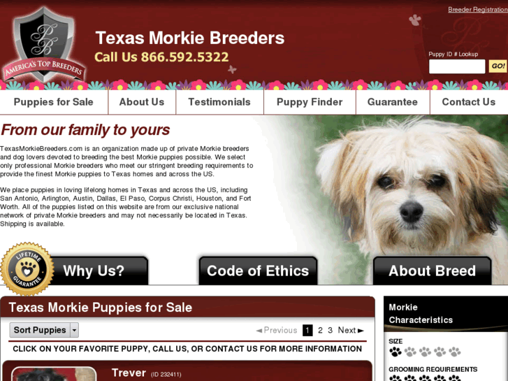 www.texasmorkiebreeders.com