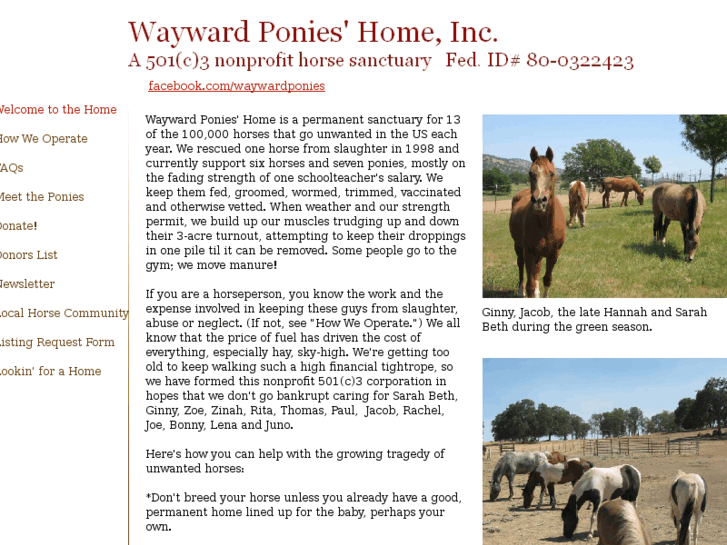 www.waywardponies.org