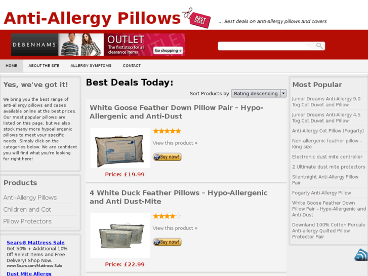 www.allergypillows.co.uk