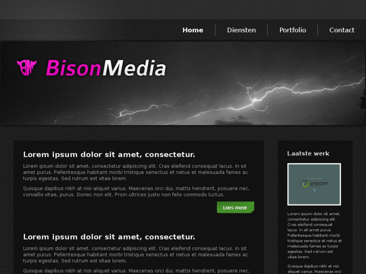 www.bisonmedia.nl