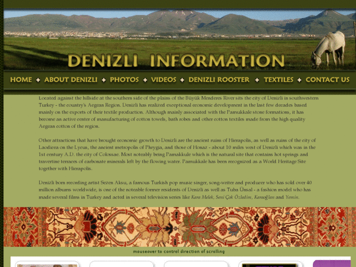 www.denizli-information.com