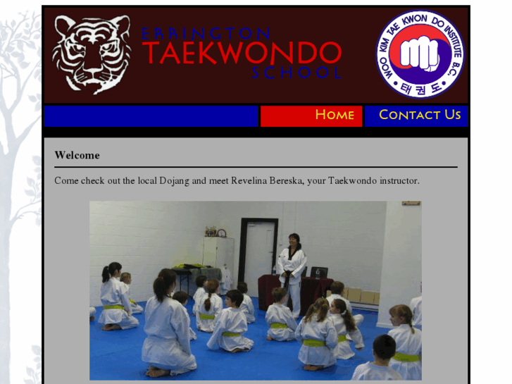 www.erringtontaekwondo.com