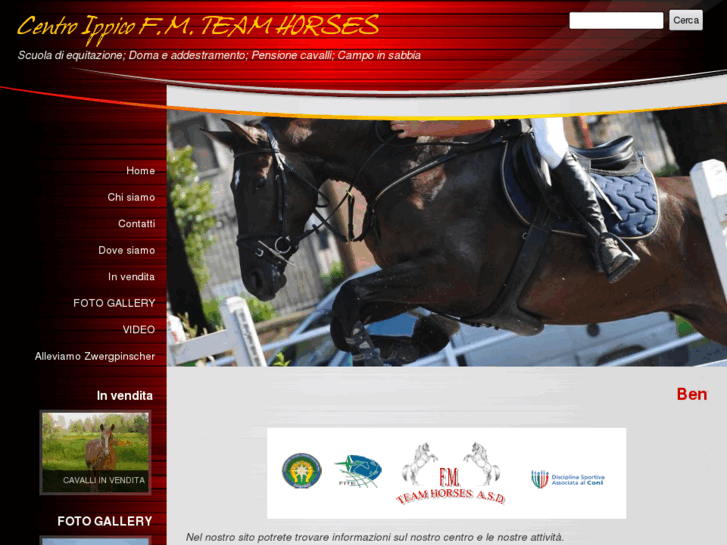 www.fmteamhorses.com