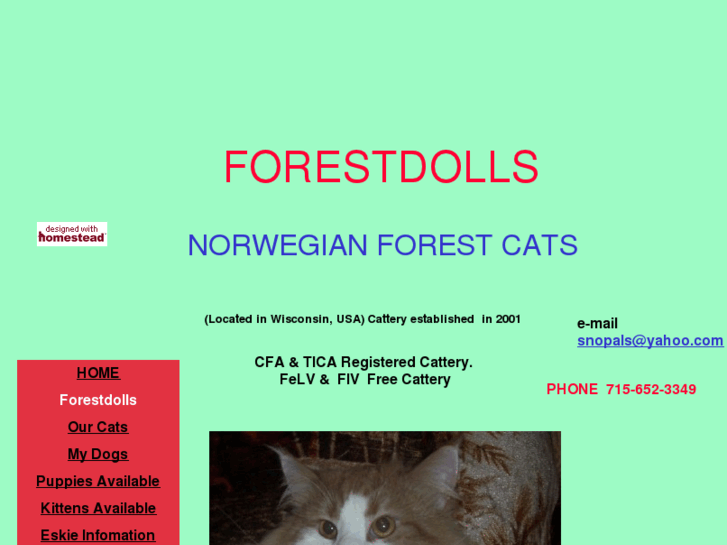 www.forestdolls.com