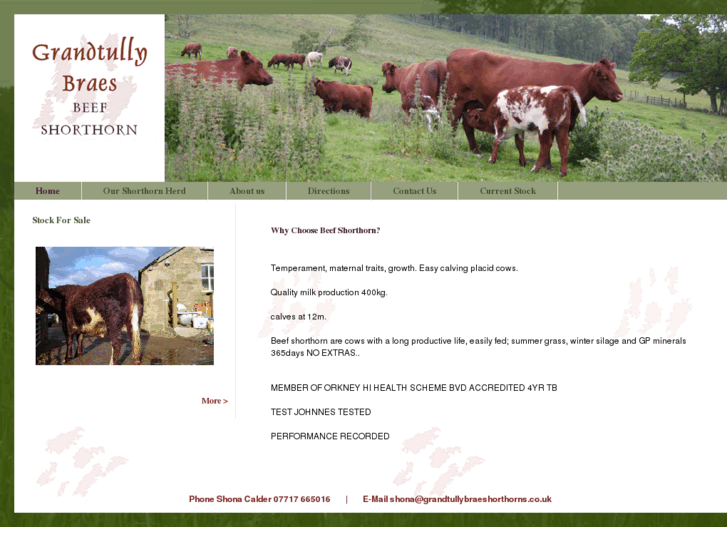 www.grandtullybraeshorthorns.co.uk