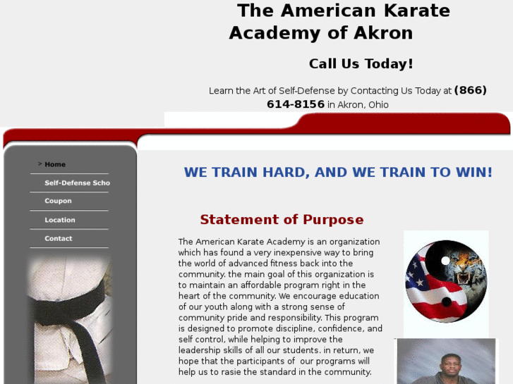 www.theamericankarateacademy.com