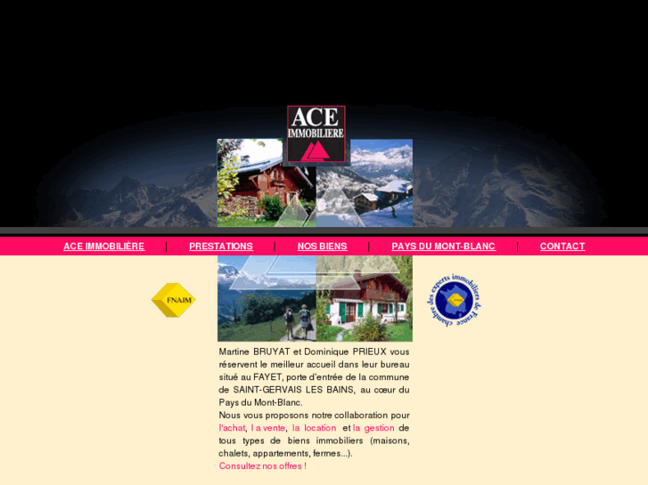 www.ace-immobiliere.com