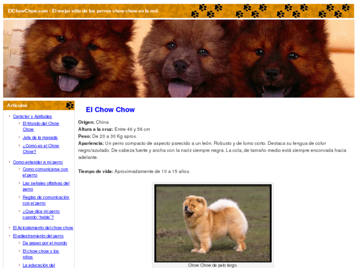 www.elchowchow.com