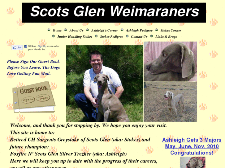 www.scotsglenweimaraners.com