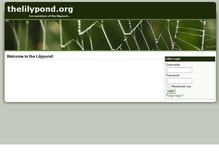 www.thelilypond.org