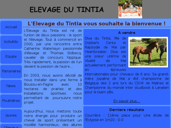 www.tintia.com