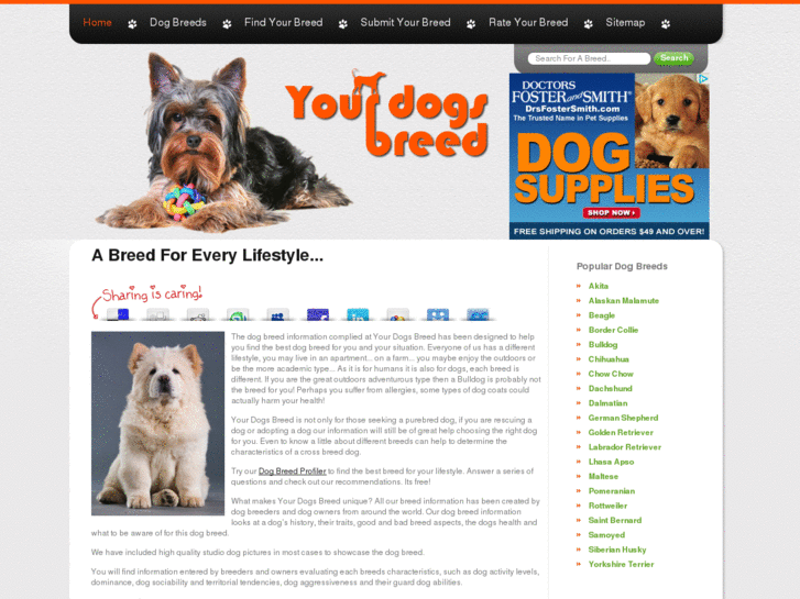 www.yourdogsbreed.com