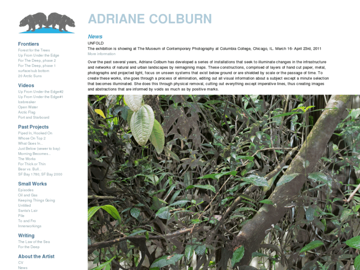 www.adrianecolburn.com