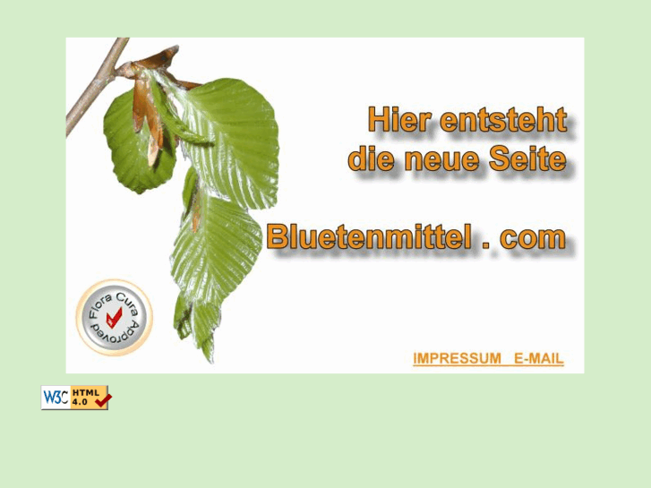 www.bluetenmittel.com