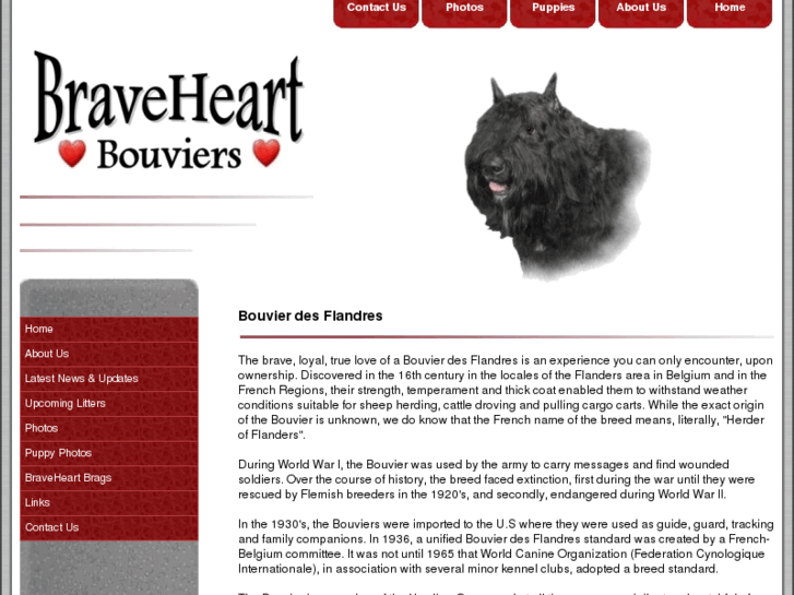 www.braveheartbouviers.com