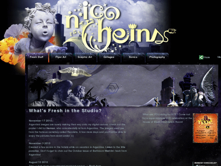 www.nicoheins.com