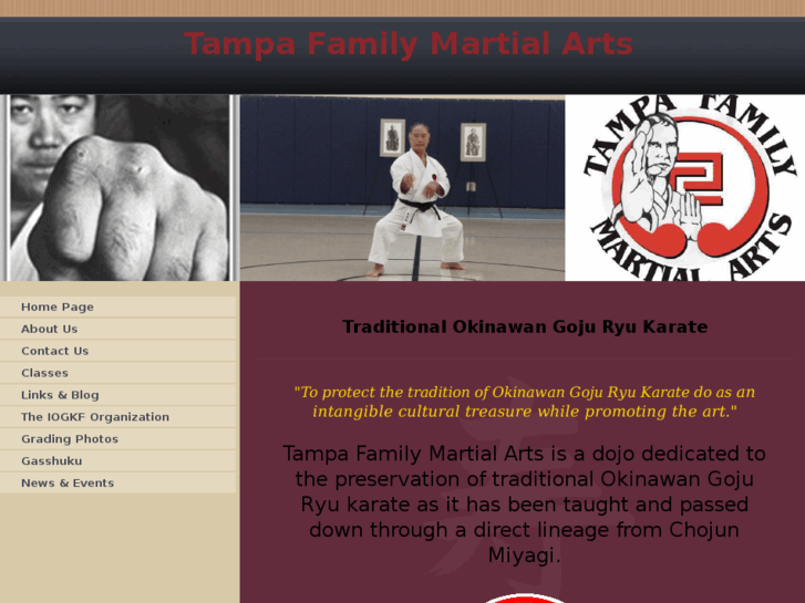 www.tampagoju-ryu.com