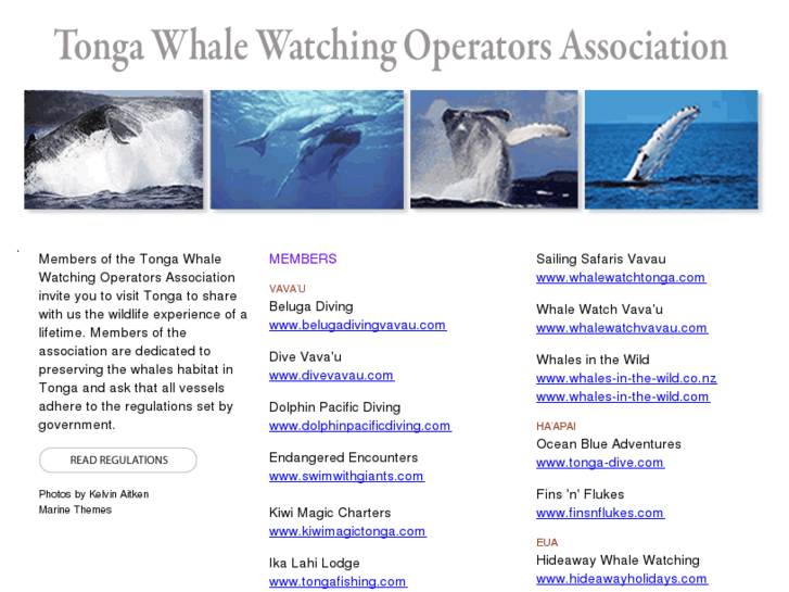 www.tongawhalewatch.com