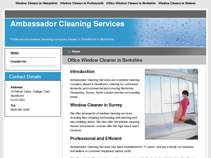 www.windowcleaningberkshire.com